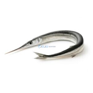 Needlefish (Kanghi)