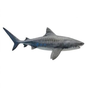 Shark (Mangra)