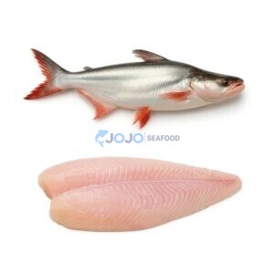 Pangasius Fish (Pangash)