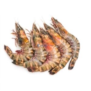 Tiger Prawns