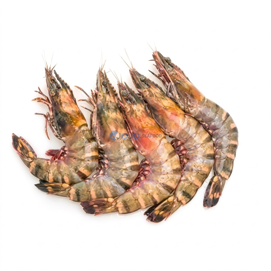 Tiger Prawns Tiger Prawns