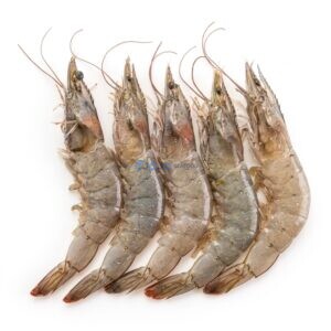 Large Prawns