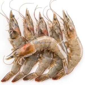 Medium Prawns