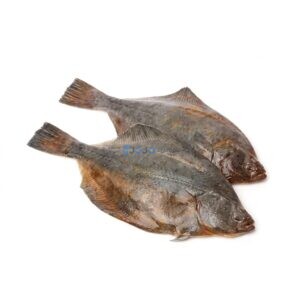 Indian Halibut (Hajjam)